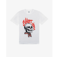 Футболка SCHOTT 'Smokin Skull' Lightweight Tee